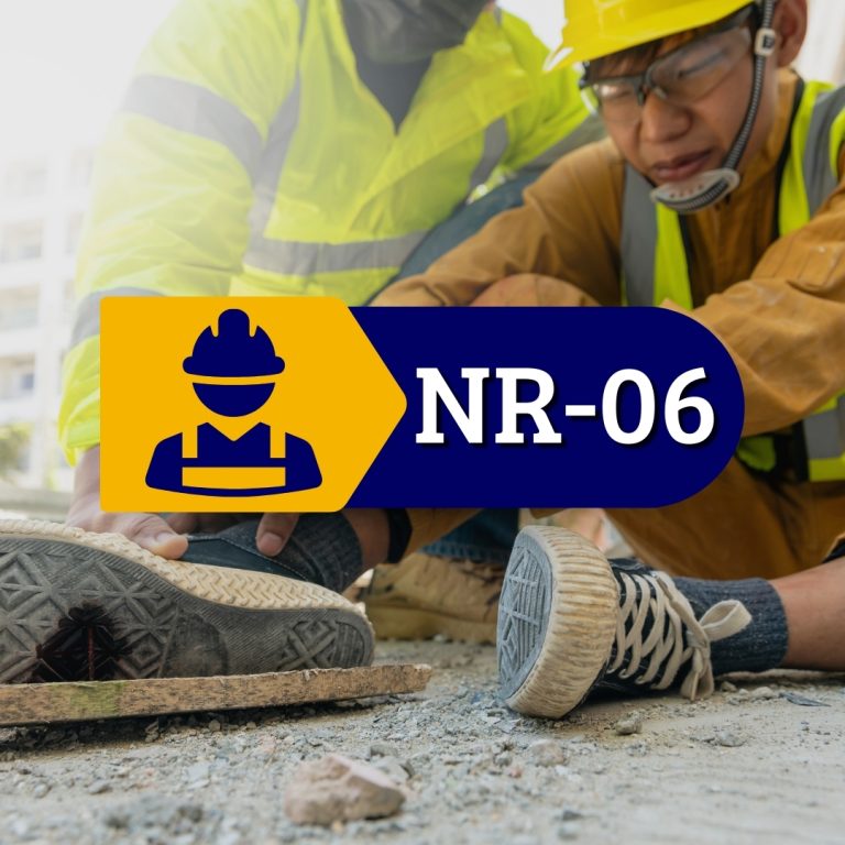 NR 06